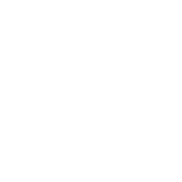 Highborn Ai